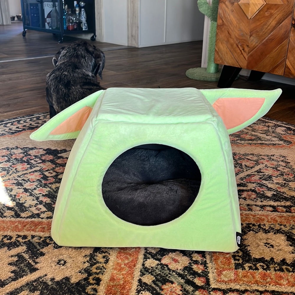 Yoda Cat/small dog bed with removable cushion